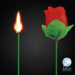 ROSA MAGICA - Imagen 2